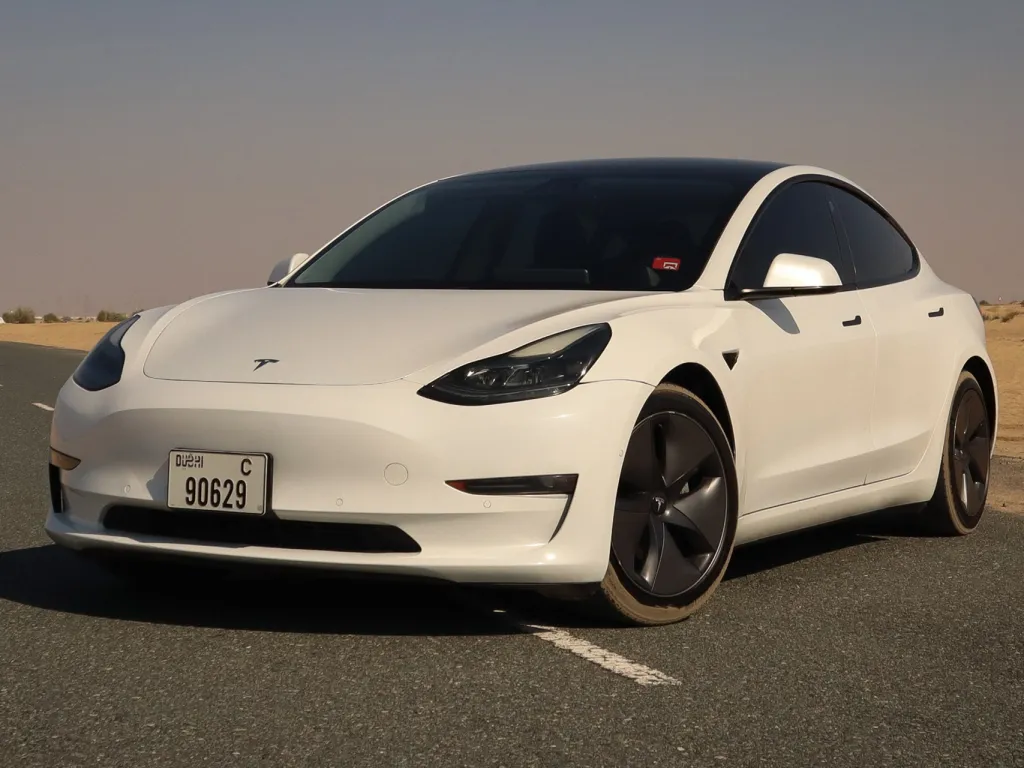 Tesla Model 3 2021 #1