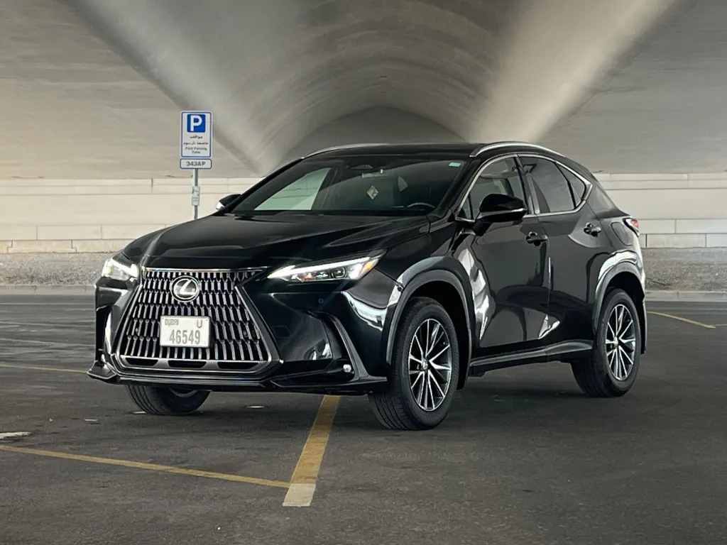 Lexus NX 250 2024 #4