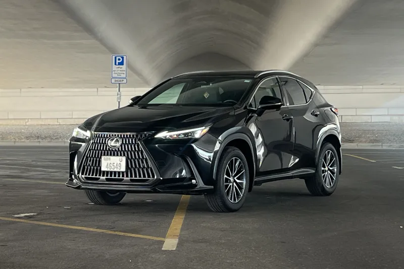 Lexus NX 250 2024 #1